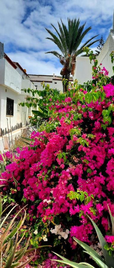 Casa Bonita Lägenhet Costa Del Silencio Exteriör bild